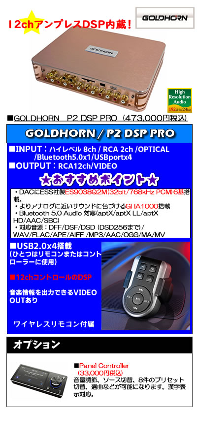 P2DSPPRO
